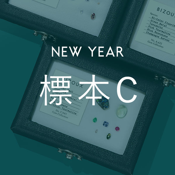 【12/31発売・1/6まで】NewYear標本【C】