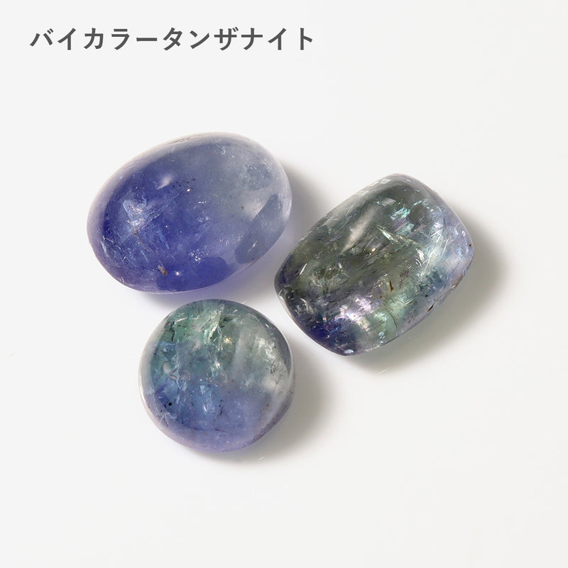 【即日発送】個性派ルース(夜半の星空)