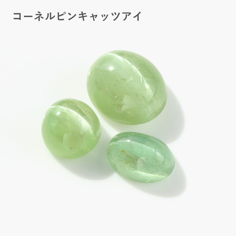 【即日発送】個性派ルース(朝の森)